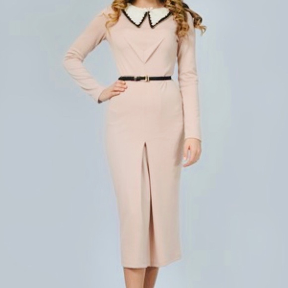 Lila Kass Powder Pink Pleated Sheath Dress - Picture 1 of 3